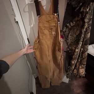 mens carhartt insulated bibs